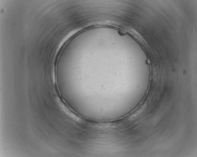 X0000071961036200607282028