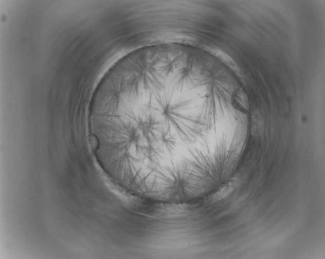 X0000071961039200607282028