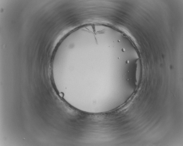 X0000071961040200607282028