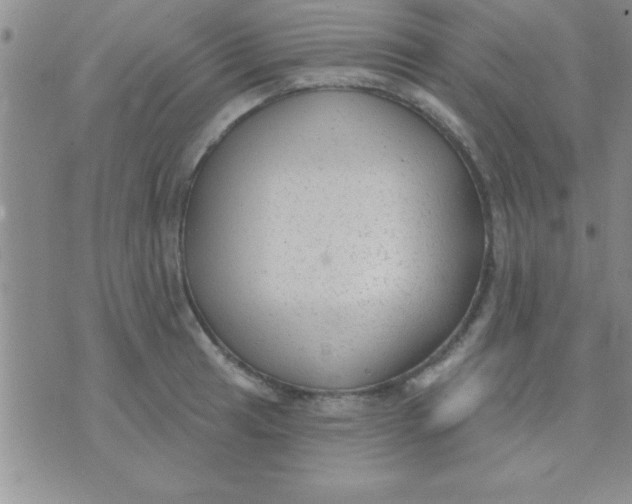 X0000071961041200607282028