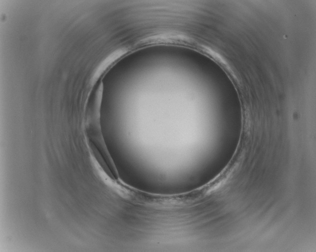 X0000071961042200607282028