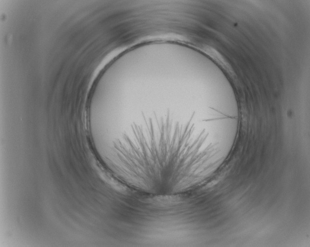 X0000071961044200607282028