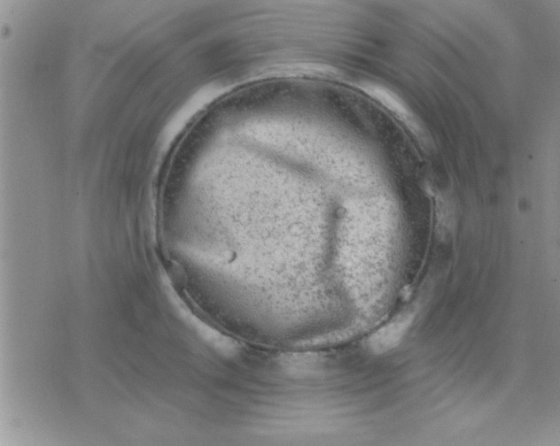 X0000071961046200607282028