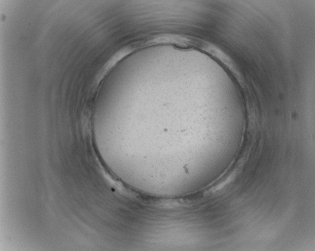 X0000071961049200607282028