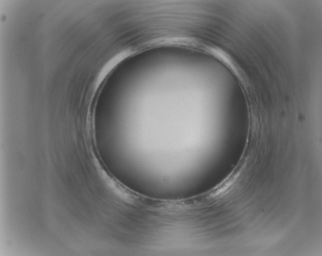 X0000071961050200607282028