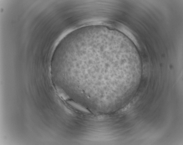 X0000071961051200607282028