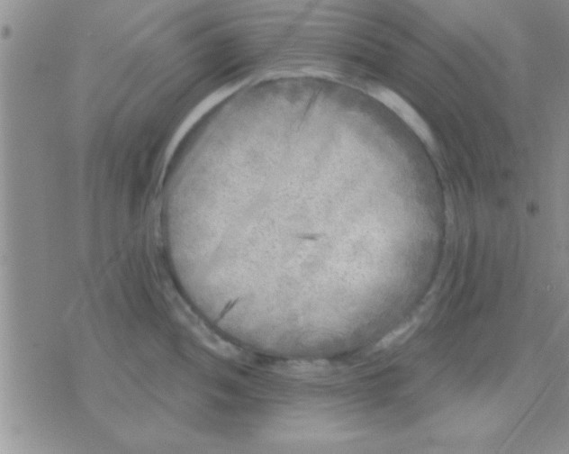 X0000071961052200607282028