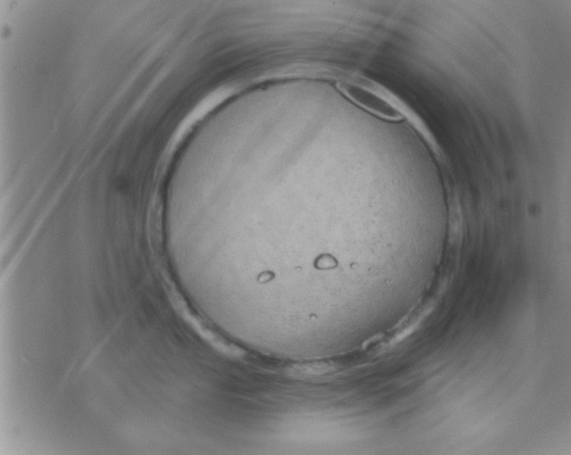 X0000071961053200607282028