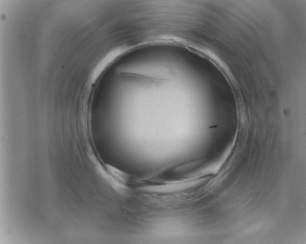 X0000071961054200607282028