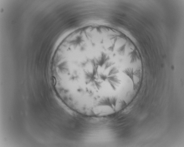 X0000071961056200607282028