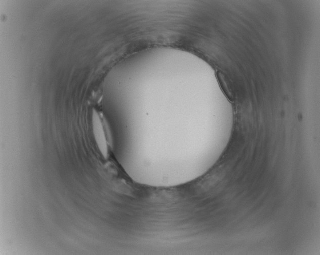 X0000071961058200607282028