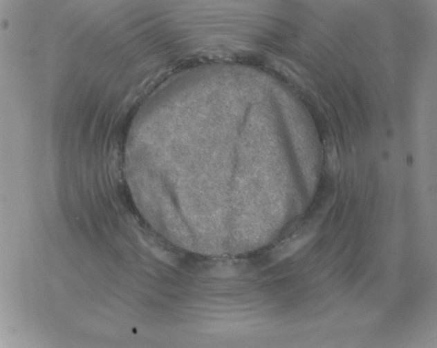 X0000071961060200607282028