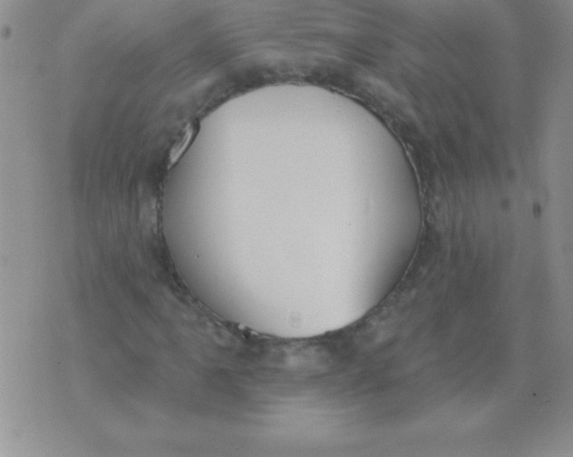 X0000071961061200607282027