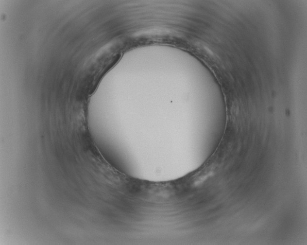 X0000071961062200607282027