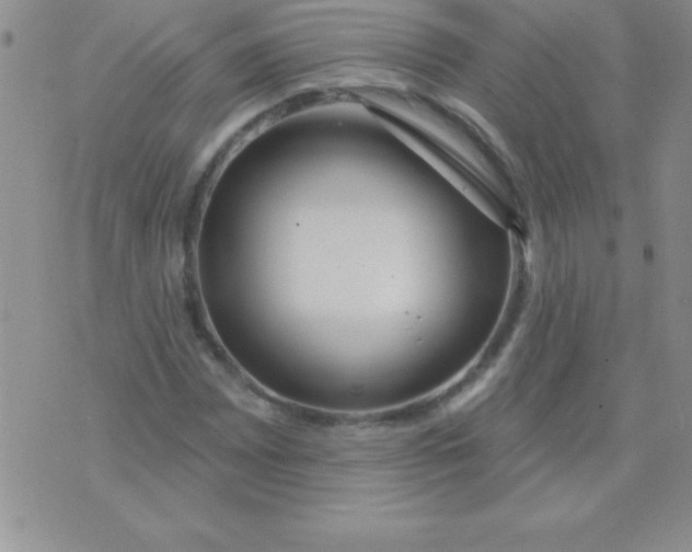 X0000071961065200607282027