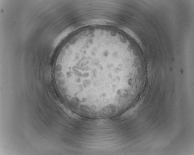 X0000071961067200607282027