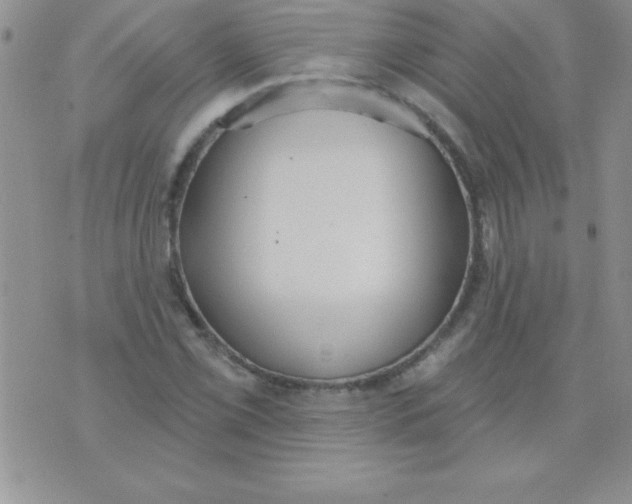 X0000071961069200607282027