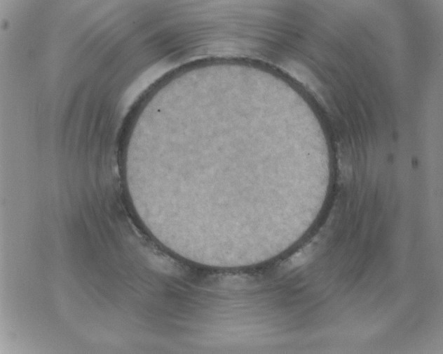 X0000071961070200607282027