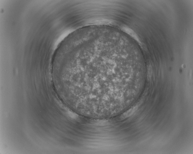 X0000071961071200607282027