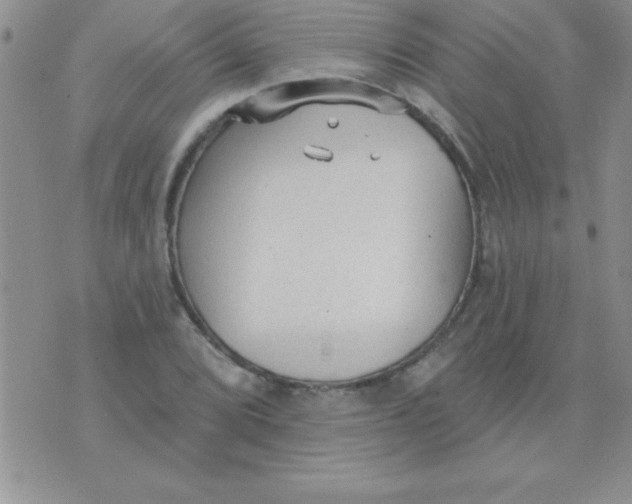 X0000071961072200607282027