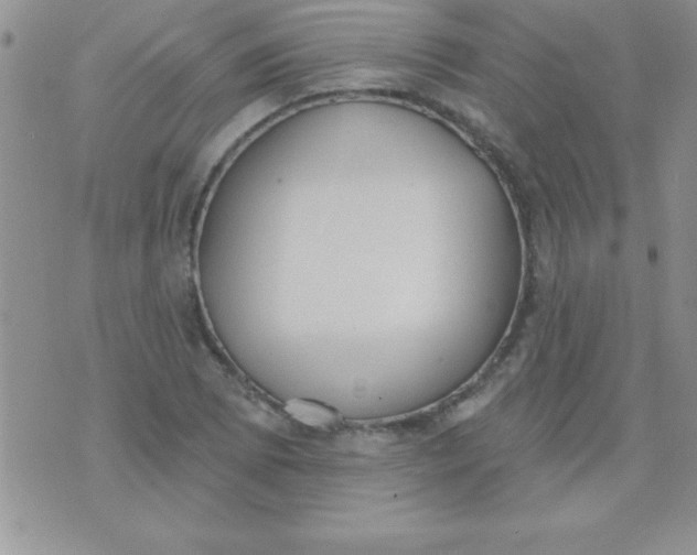 X0000071961073200607282027