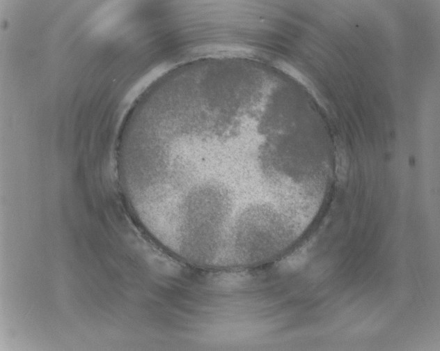 X0000071961074200607282027