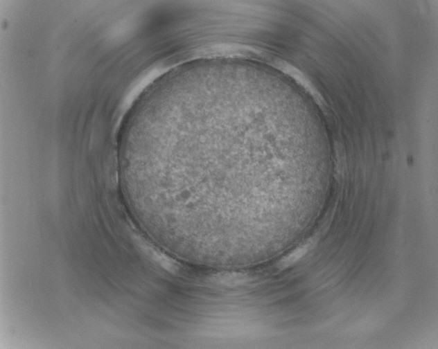 X0000071961075200607282027