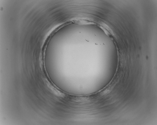 X0000071961076200607282027