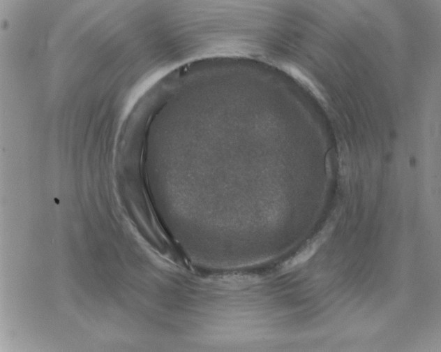 X0000071961077200607282027