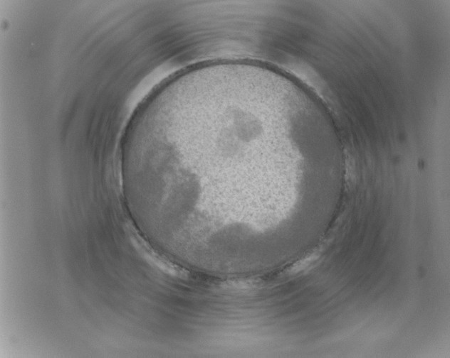 X0000071961078200607282027