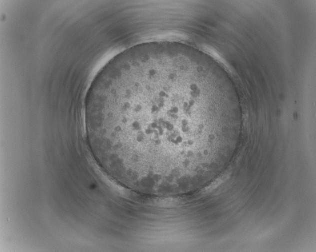 X0000071961079200607282027