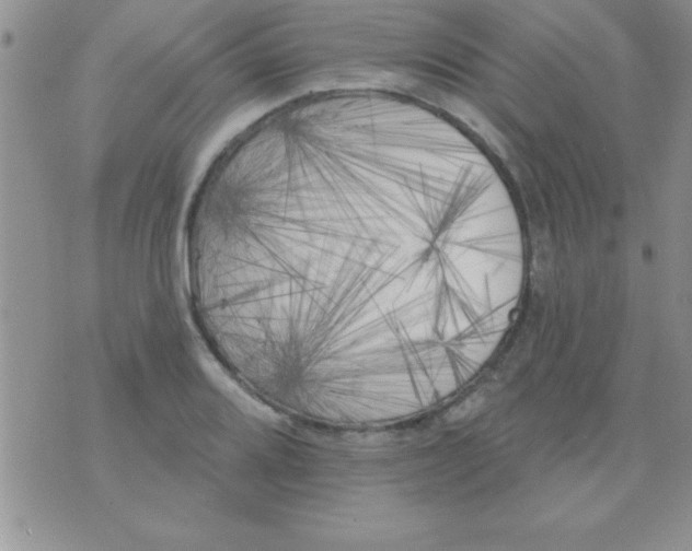 X0000071961080200607282027