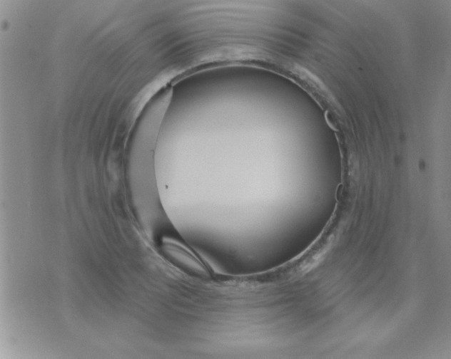 X0000071961081200607282027