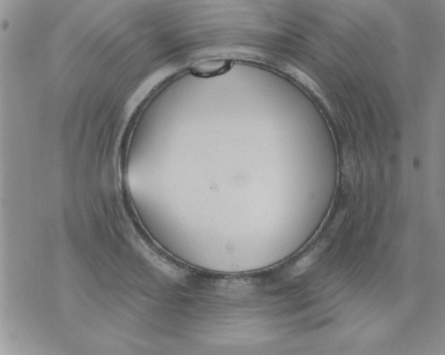 X0000071961082200607282027