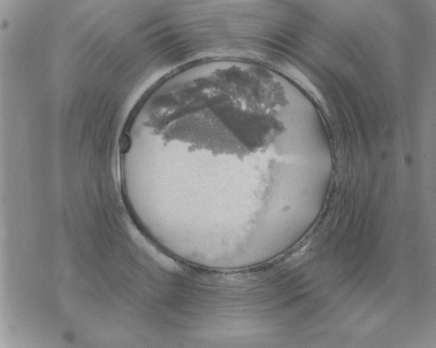 X0000071961084200607282027