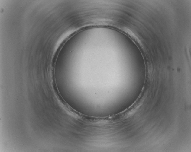 X0000071961085200607282027