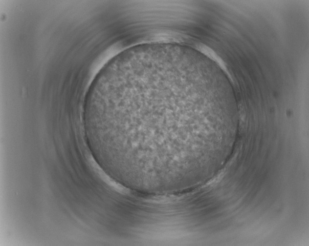 X0000071961091200607282027