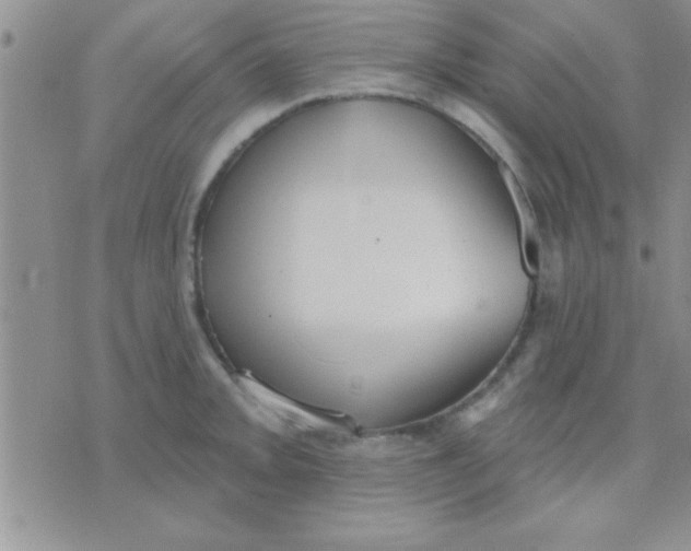 X0000071961093200607282027