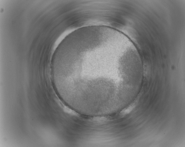 X0000071961094200607282027