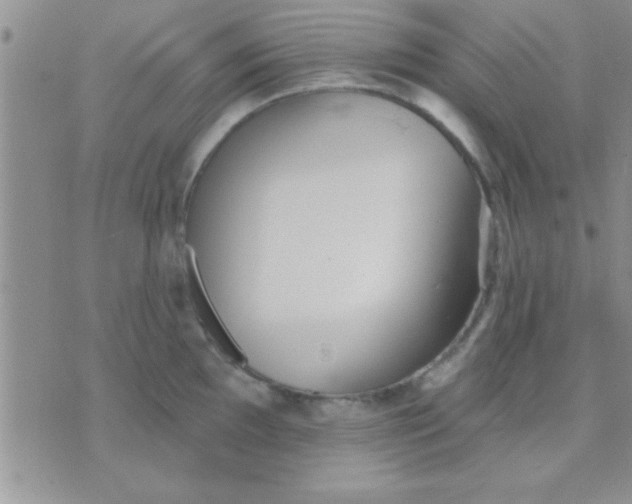 X0000071961097200607282027