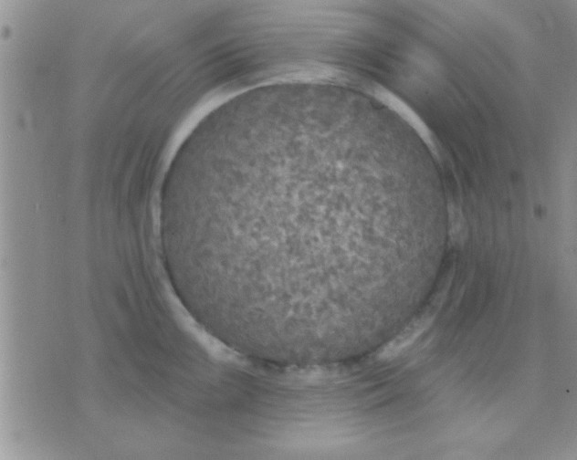 X0000071961099200607282027