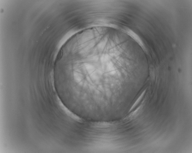 X0000071961100200607282027