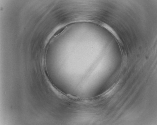 X0000071961101200607282027