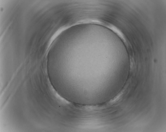 X0000071961102200607282027