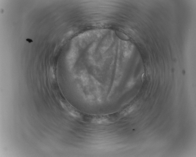 X0000071961106200607282026