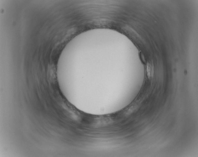 X0000071961107200607282026