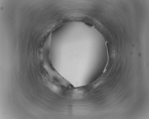 X0000071961108200607282026