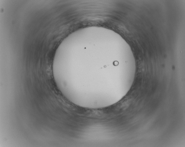 X0000071961109200607282026