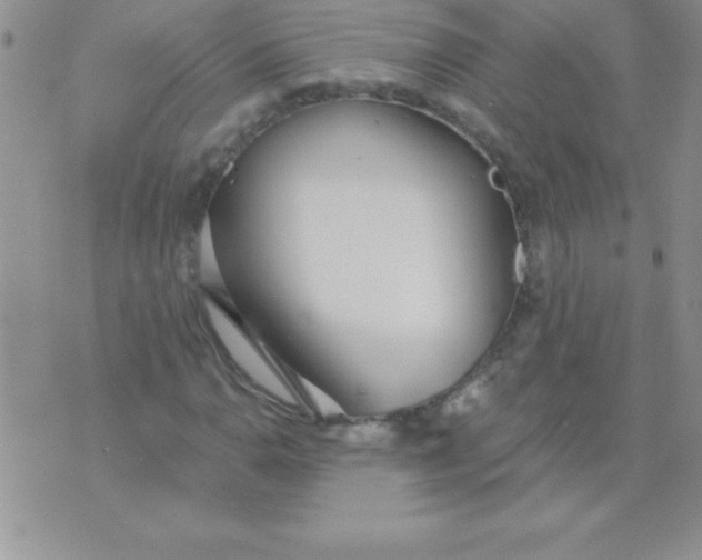 X0000071961110200607282026