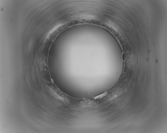 X0000071961112200607282026